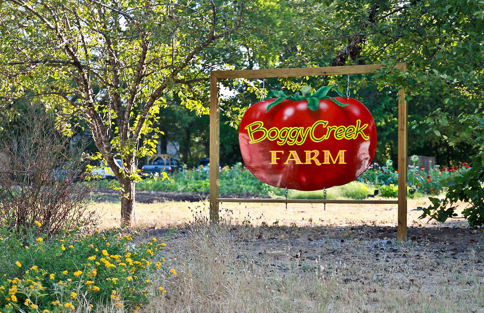 Boggy Creek — Austin, TX