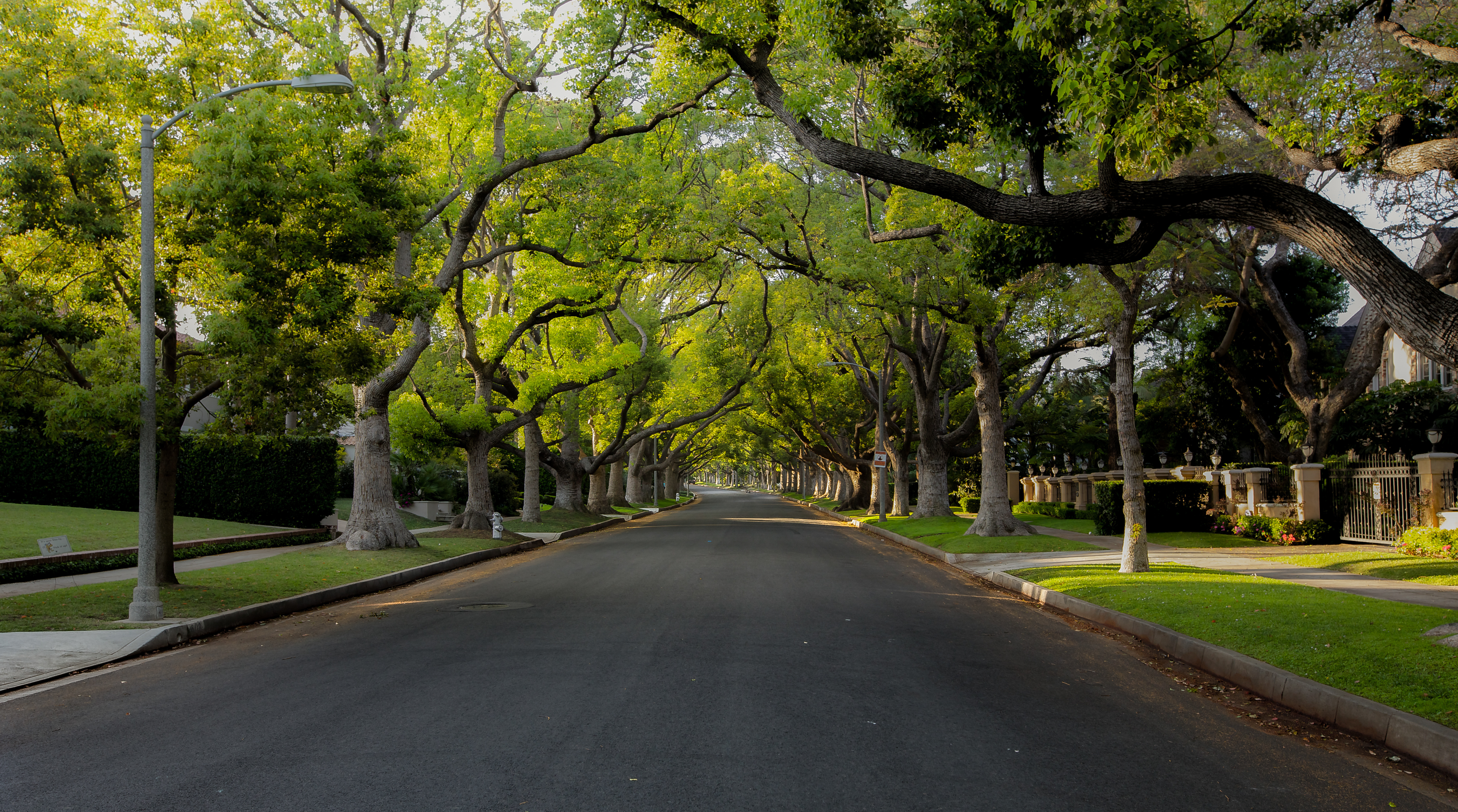 Bellaire — Houston, TX
