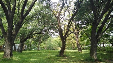 South Acres/Crestmont Park — Houston, TX